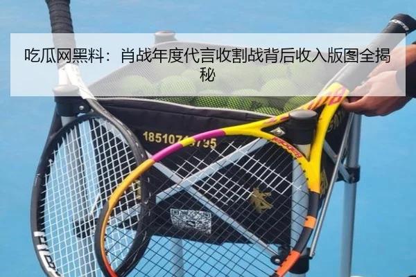 吃瓜网黑料：肖战年度代言收割战背后收入版图全揭秘
